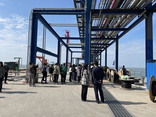 逾百家機構調研連云港產業園