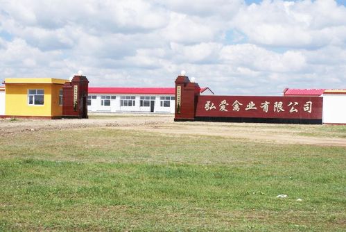 弘愛集團 造血式扶貧與安全生態(tài)有機農產品的創(chuàng)新之路